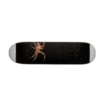 IMG_1655 skateboards