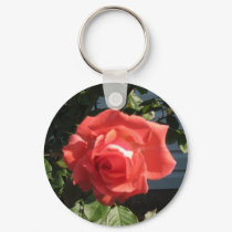 IMG_1741 keychains