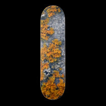 IMG_1742 skateboards