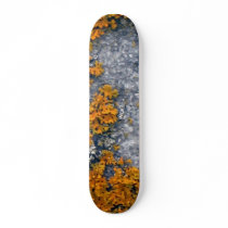 IMG_1742 skateboards by daas_1 IMG_1742 skateboards