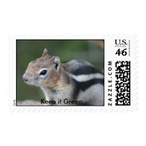 IMG_1773, Keep it Green postage