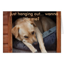 IMG_1906, ... just hanging out... wanna join me? Greeting Cards