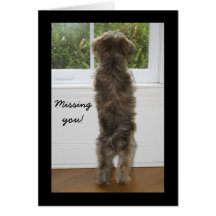 IMG_1950, Missing, you! Greeting Card