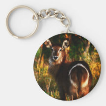 IMG_20121208_204201.jpg Key Chains