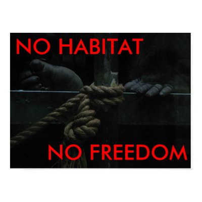 No+freedom