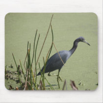 IMG_2076 mousepads by abbphoto IMG_2076 mousepads