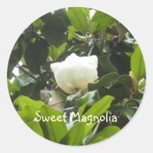 IMG_2076, Sweet Magnolia Round Stickers