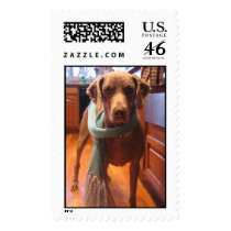 IMG_2113 postage by msmessy26 IMG_2113 postage