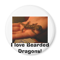 IMG_2151, I love Bearded Dragons! Refrigerator Magnet