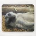 IMG_2196 mousepads by jenniekurono IMG_2196 mousepads