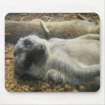 IMG_2196 mousepads by jenniekurono IMG_2196 mousepads