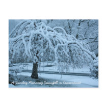 IMG_2425_2, A Sunday Morning Snowfall in Connec... postcards