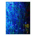 IMG_2535, satori posters