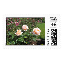IMG_2546 postage by Valknisley IMG_2546 postage