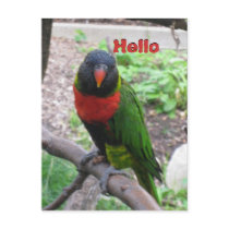 IMG_2596, Hello, Hello postcards