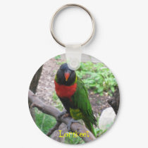 IMG_2596, Lorikeet keychains
