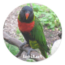 IMG_2596, Lorikeet stickers