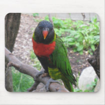 IMG_2596 mousepads
