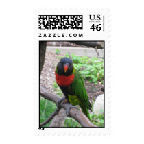 IMG_2596 postage