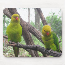 IMG_2600 mousepads