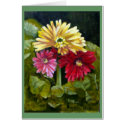 IMG_2644Gerber Daisys, use cards by klocke IMG_2644Gerber Daisys, use cards