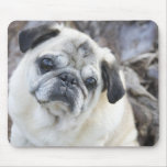 IMG_2674 MOUSEPAD