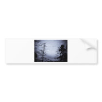IMG_2798-Edit.tif Bumper Stickers