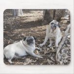 IMG_2903 MOUSEPAD