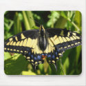 IMG_3188 mousepads