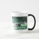 IMG_3630 mugs