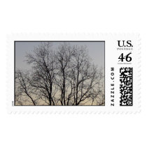 IMG_3685 postage by Francesca9905 IMG_3685 postage
