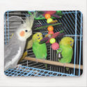 IMG_3852 mousepads