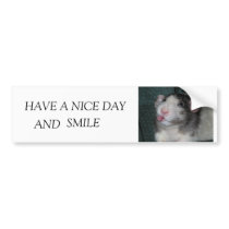 IMG_3930, HAVE A NICE DAY, SMILE, AND bumper stickers