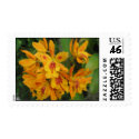 IMG_3936 postage by vdorward IMG_3936 postage