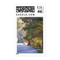 IMG_3976 POSTAGE