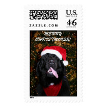IMG_4064, MERRY CHRISTMOOSE! postage by EDEA61 IMG_4064, MERRY CHRISTMOOSE! postage