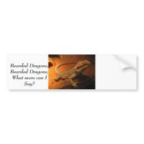 IMG_4705, Bearded Dragons,Bearded Dragons,What ... Bumper Stickers