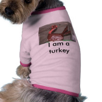 IMG_4722, I am a turkey pet clothing