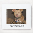 IMG_5105, save the pitbulls mousepads