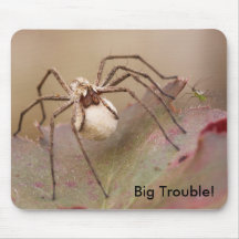IMG_5123, Big Trouble! Mouse Pad