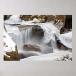 IMG_5148 PRINT