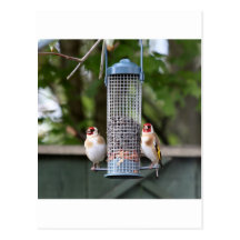 IMG_5217.jpg Postcards