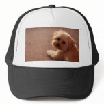 IMG_5307 TRUCKER HAT
