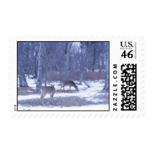 IMG_5369 STAMP