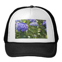 IMG_5422.JPG GORRA