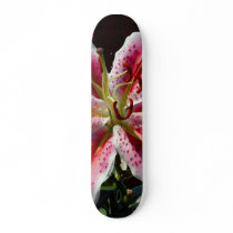 IMG_5536r skateboards
