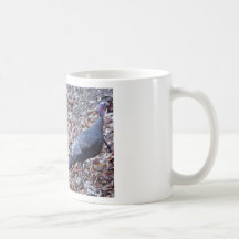 IMG_6353_edited Coffee Mugs