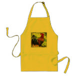 IMG_6800 aprons