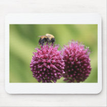 IMG_6967 MOUSE PADS