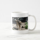 IMG_7805 COFFEE MUGS